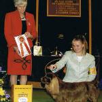 Storm
Pictured going Best of Opposite Sex at the Westminster Dog Show